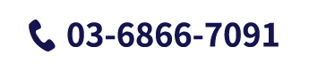 tel:03-6866-7091